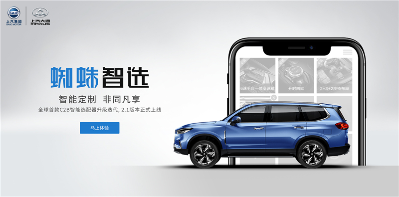 说出来你可能不信，这是一只懂你的蜘蛛