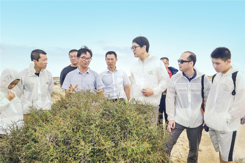  当地植树专家带领志愿者家庭学习沙漠野生动植物知识