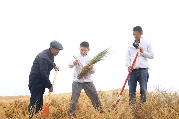 携手古浪“六老汉”，“绿动未来”第五次植树行深入腾格里沙漠！